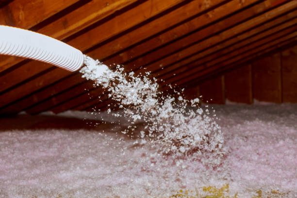 Best Specialized Insulation Services in Wabasso Beach, FL