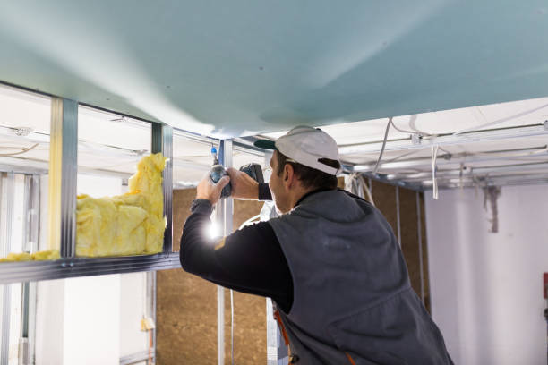 Best Cellulose Insulation in Wabasso Beach, FL