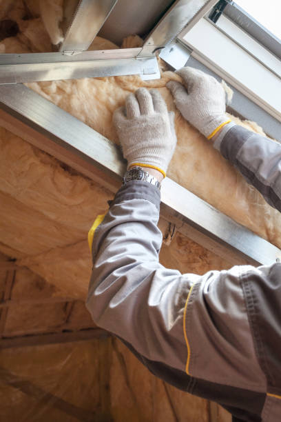 Best Spray Foam Insulation in Wabasso Beach, FL