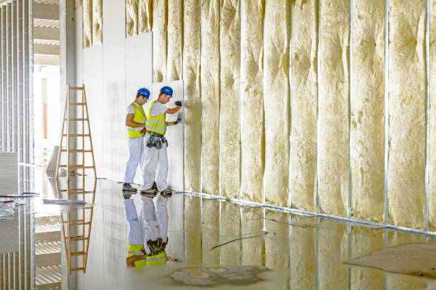 Best Eco-Friendly Insulation in Wabasso Beach, FL